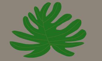 Biomorphism set leaves with 12 elips holes vector
