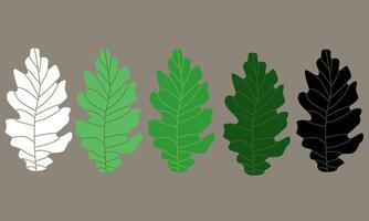 Biomorphism set lobate leaves vector
