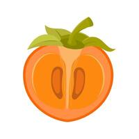 Ripe persimmon fruit on white background. Persimmon cut. Flat style illustration vector