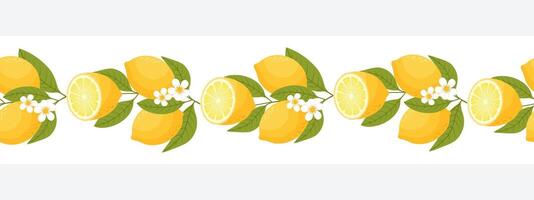Seamless border with lemons. Horizontal ornament with lemon fruits on a branch. Illustration vector