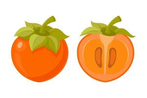 Ripe persimmon fruit on white background. Persimmon whole and cut. Illustration vector