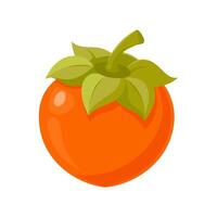 Ripe persimmon fruit on white background. Whole persimmon. Flat style illustration vector