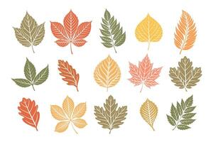 Set of autumn leaves silhouettes. Collection of forest tree leaves on white background. Illustration vector