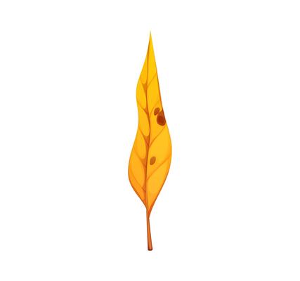 Cartoon yellow autumn leaf with brown spots