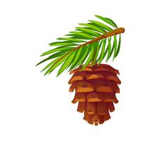 Cartoon pine cone with lush evergreen needles vector