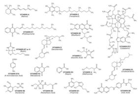 Vitamin acid formulas chemical molecular structure vector