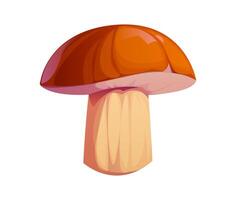 Cartoon autumn mushroom with rich brown cap vector
