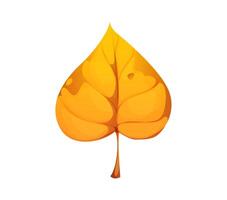 Autumn birch leaf cartoon tree foliage vector