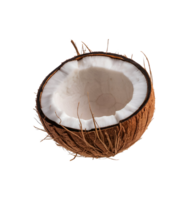 Half coconut isolated on transparent background png