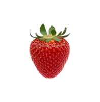single strawberry isolated on transparent background png