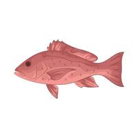 Illustration of grouper vector