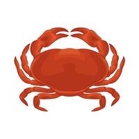 Illustration of crab vector