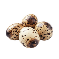 quail eggs transparent background png