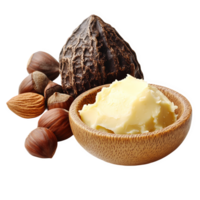 shea nuts and butter transparent background png