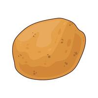 Illustration of potato vector