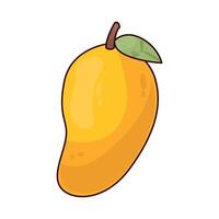 Illustration of mango vector