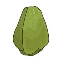 Illustration of chayote vector