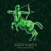 TWELVE CONSTELLATIONS SAGITTARIUS vector