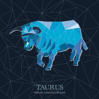 TWELVE CONSTELLATIONS TAURUS vector