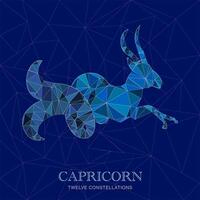 TWELVE CONSTELLATIONS CAPRICORN vector