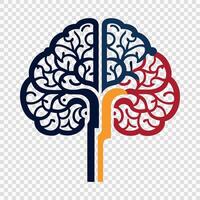illustration of the human brain vector