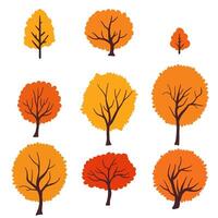A set of autumn trees and branches with colorful leaves in shades of orange, red, and yellow. Isolated designs of oak trees, bushes for seasonal decoration. Not AI. vector