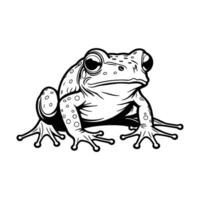 Black and white line drawing of a frog sitting upright vector