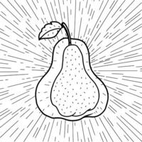 A pear is shown in a drawing style vector