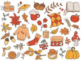 Colorful hand drawn set autumn elements and symbols vector