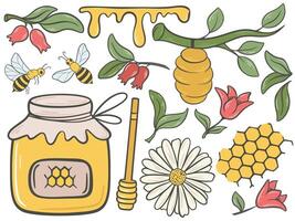 Honey and beekeeping colorful hand drawn set vector
