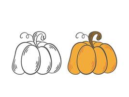 Pumpkin set black outline doodle illustration and color version vector