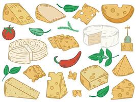 Cheese of different shapes and varieties hand drawn color set vector
