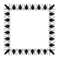 Spooky spider frame isolated on white background. Decorative frame. vector