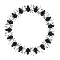 Spooky spider frame isolated on white background. Decorative frame. vector