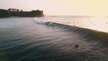 Drone view with surfing on swell waves. Perfect waves with surfers in ocean at Bali with sunset sunlight video