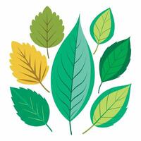 A group of green leaves on a white background vector