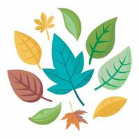 A colorful set of leaves on a white background vector