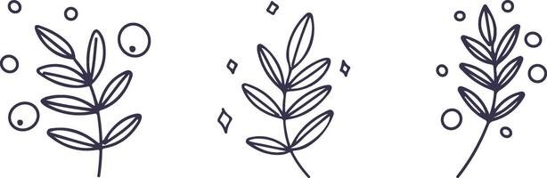 Line illustrations of fantasy leaf with bubbles and shine. Hand drawn icons set vector