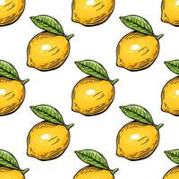 Seamless lemon sketch pattern, slice, engraving and black and white line. vector