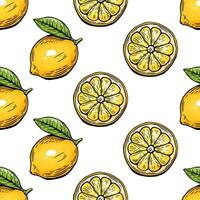 Seamless lemon sketch pattern, slice, engraving and black and white line. vector