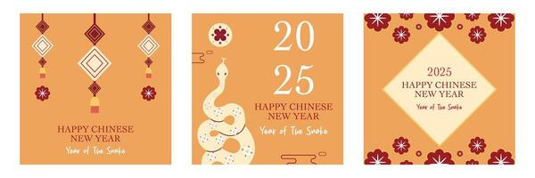 Lunar new year, Chinese new year 2025 and year of the Snake square set with Chinese zodiac Snake symbol illustration brown background, geometric design for cover, card, poster, banner, social media. vector