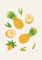 Simplified pineapple fruit in a stylish flat design. Ideal for a sleek modern look. vector