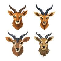 A set of markhor head illustration. vector