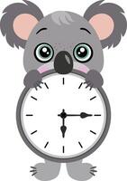 Cute koala with clock inside vector