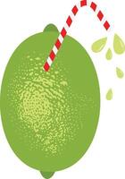 Green lemon juice with straw vector