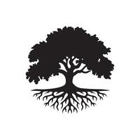 An oak tree with roots and leaves on a white background vector
