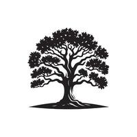 An oak tree logo with a black and white background vector