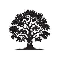 An oak tree is shown in black and white vector