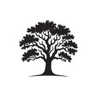 An oak tree is shown in black and white vector