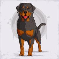Hand drawn German dog breed Rottweiler Metzgerhund in full length standing and panting isolated vector
